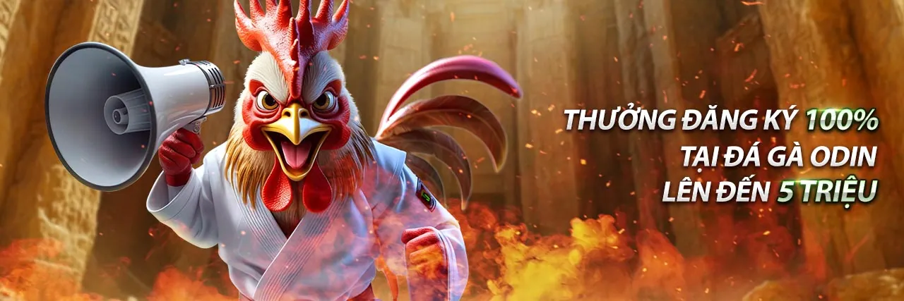 Đá gà trực tuyến FABET